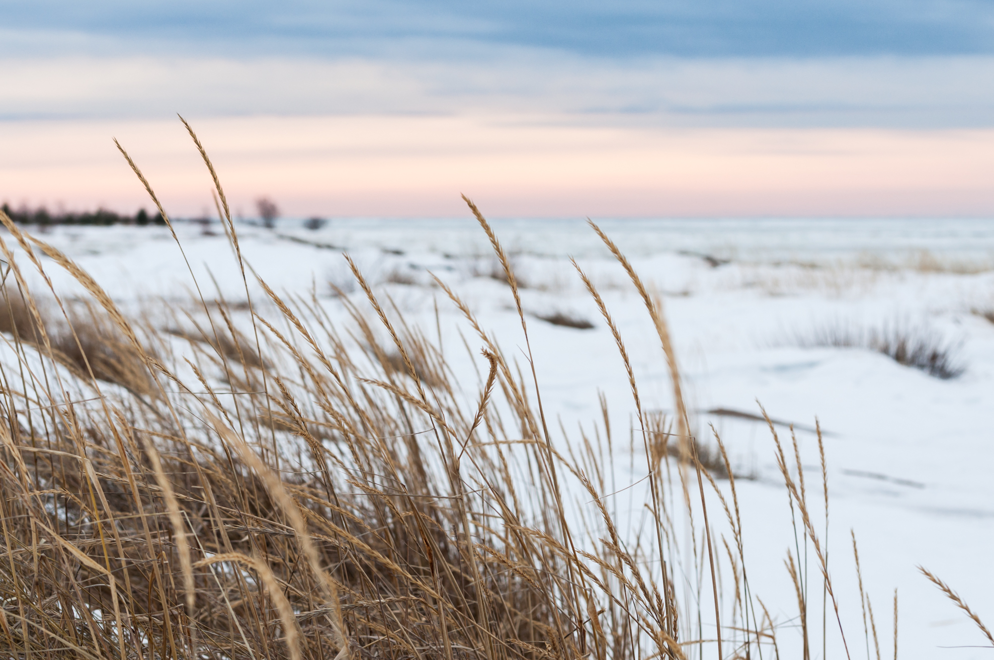 independent people lapland winter
