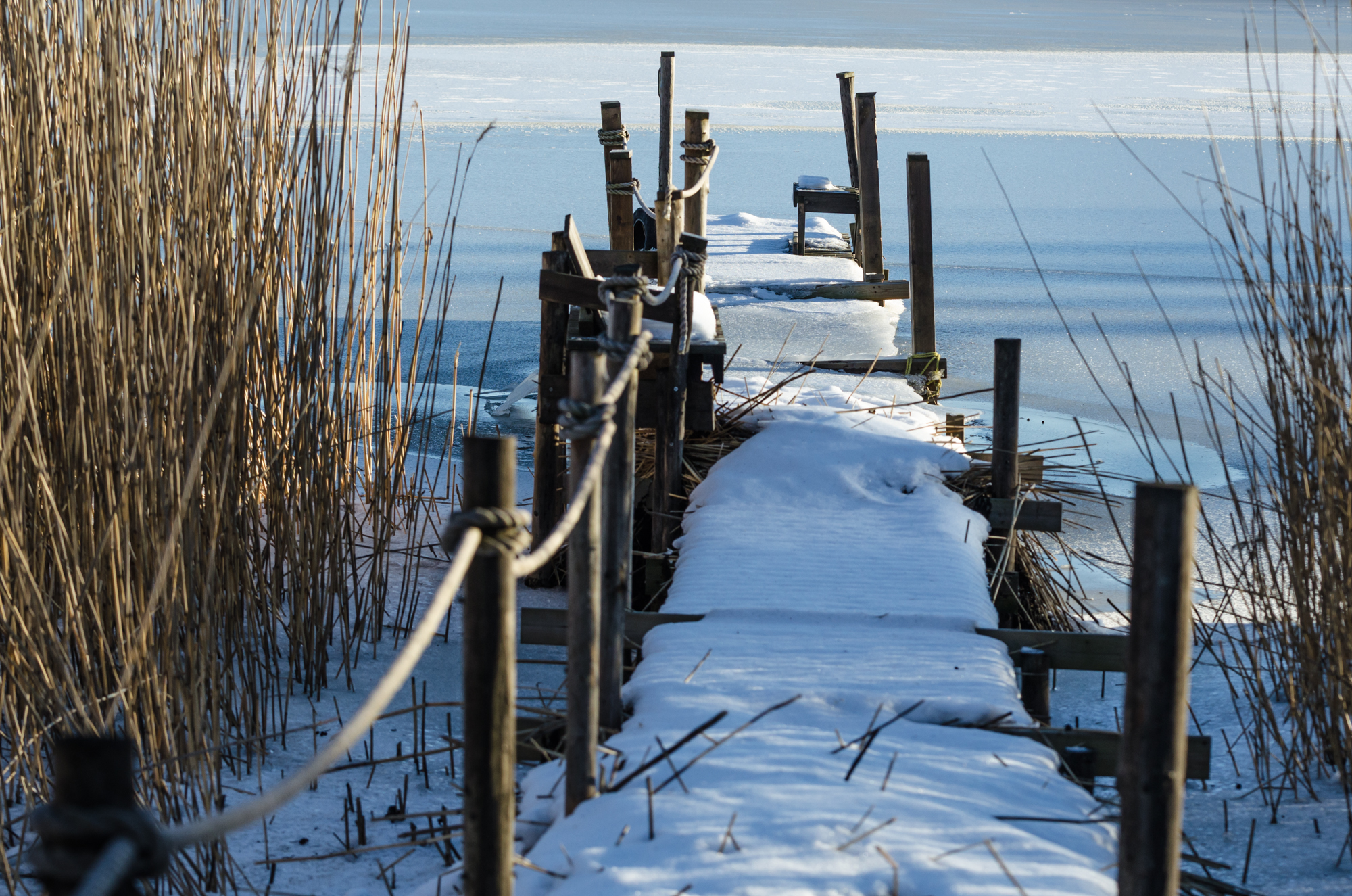 independent people finland winter