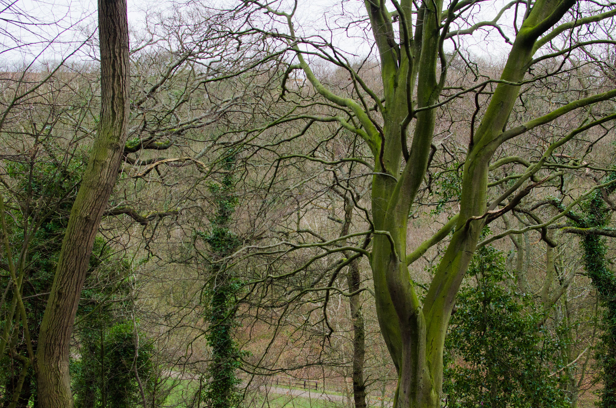 Saltburn-by-the-Sea, our new home.
