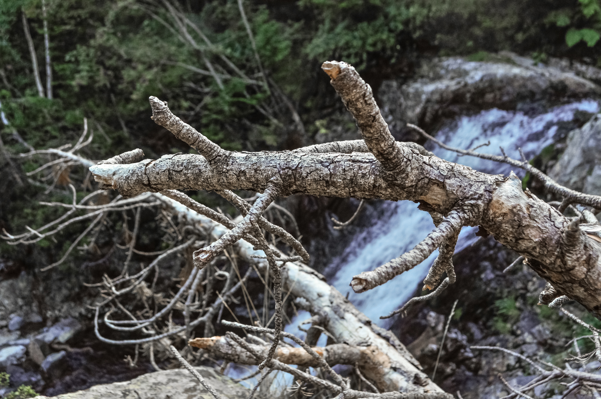 Randonnée dans les Pyrénées, Andorre