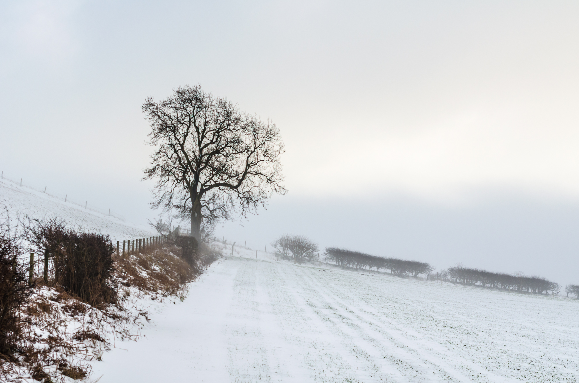 Roseberry Topping in Winter