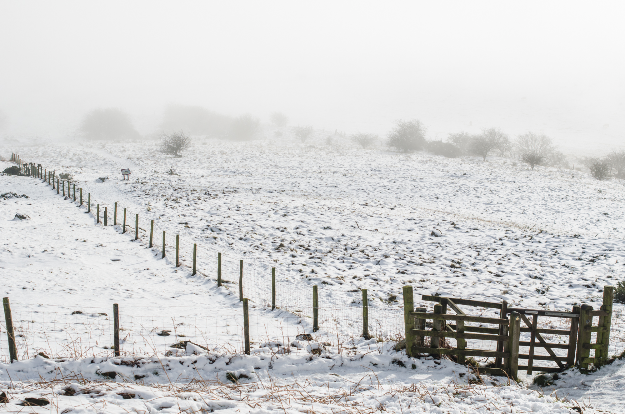 Roseberry Topping in Winter