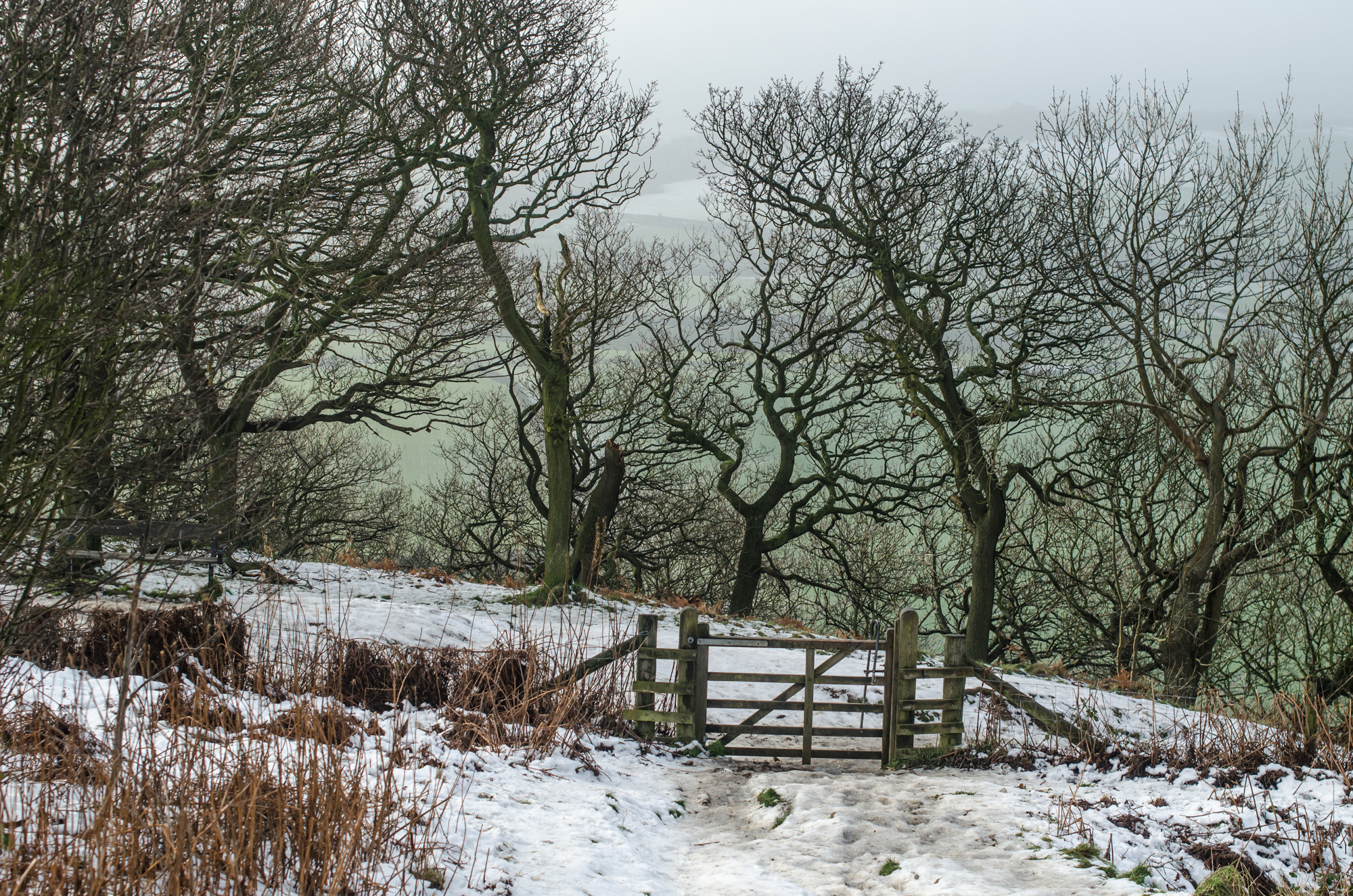 Roseberry Topping in Winter