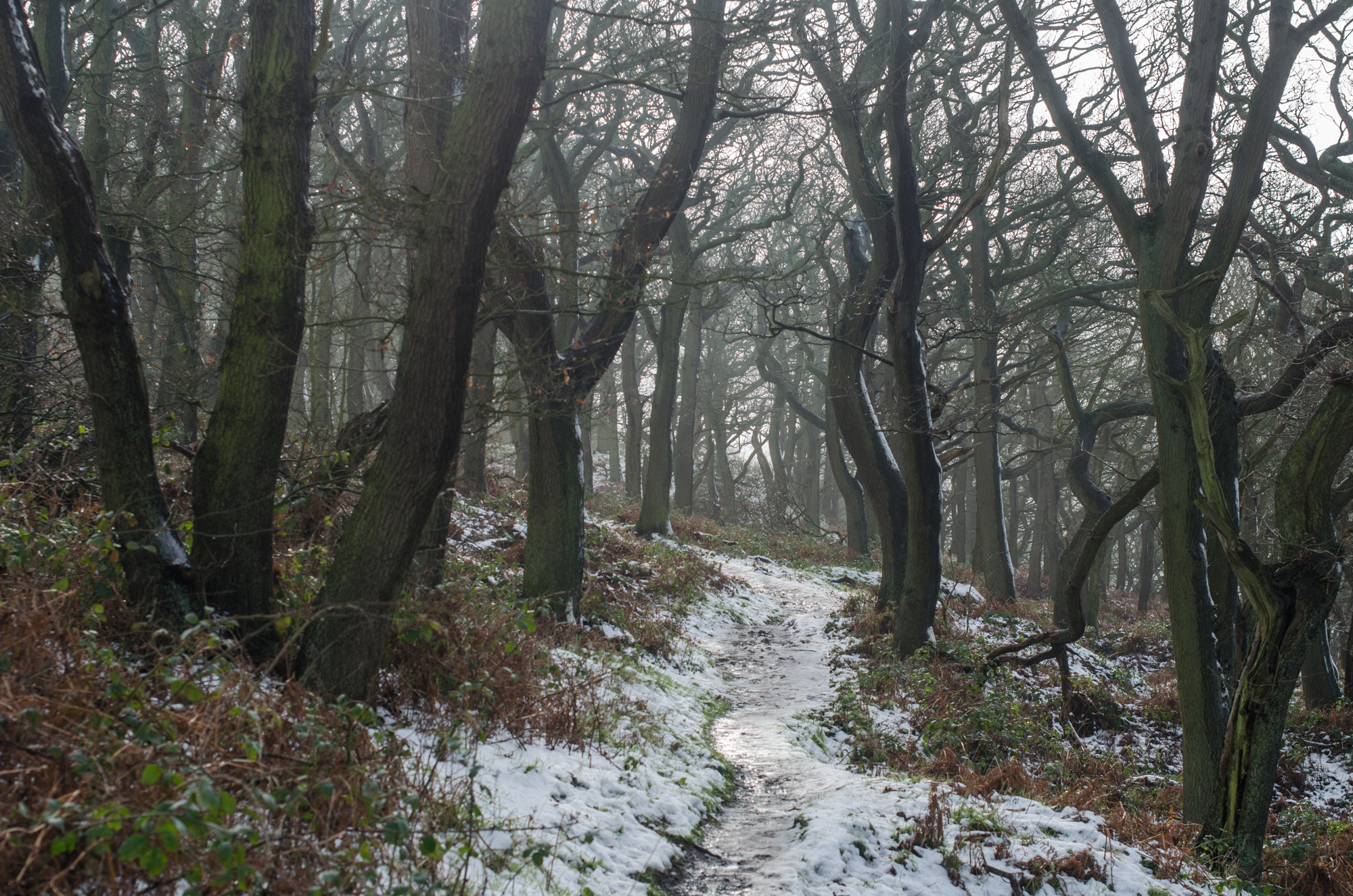 Roseberry Topping in Winter