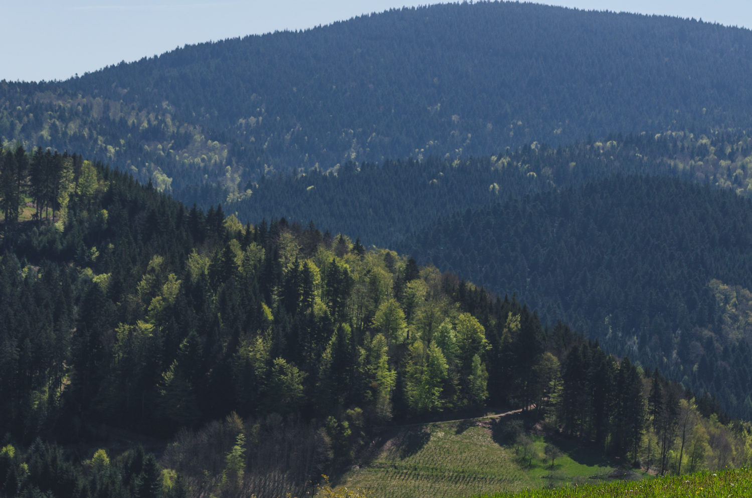 InterRail Train Itinerary: Germany