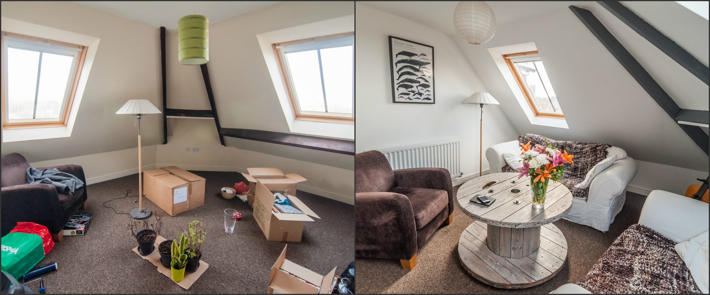 Apartment Before and After