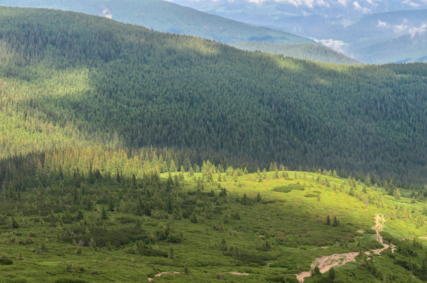The Carpathian Mountains in Ukraine