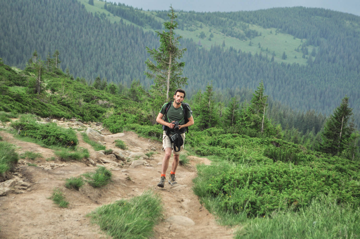 The Carpathian Mountains in Ukraine