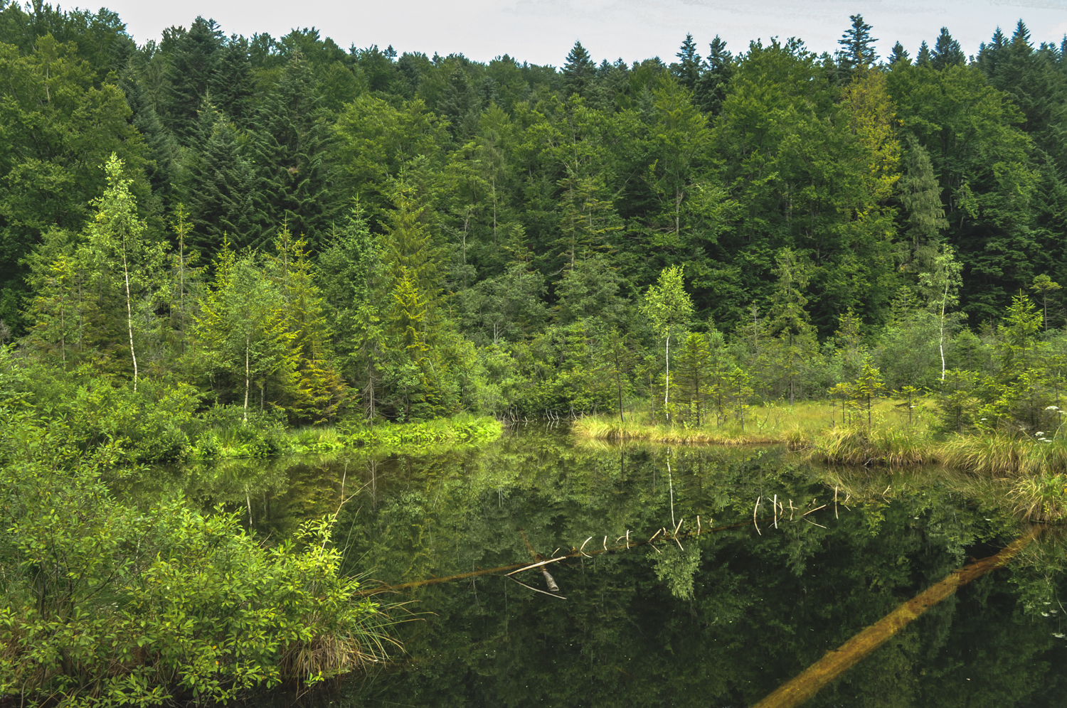 Carpathian mountains in Ukraine