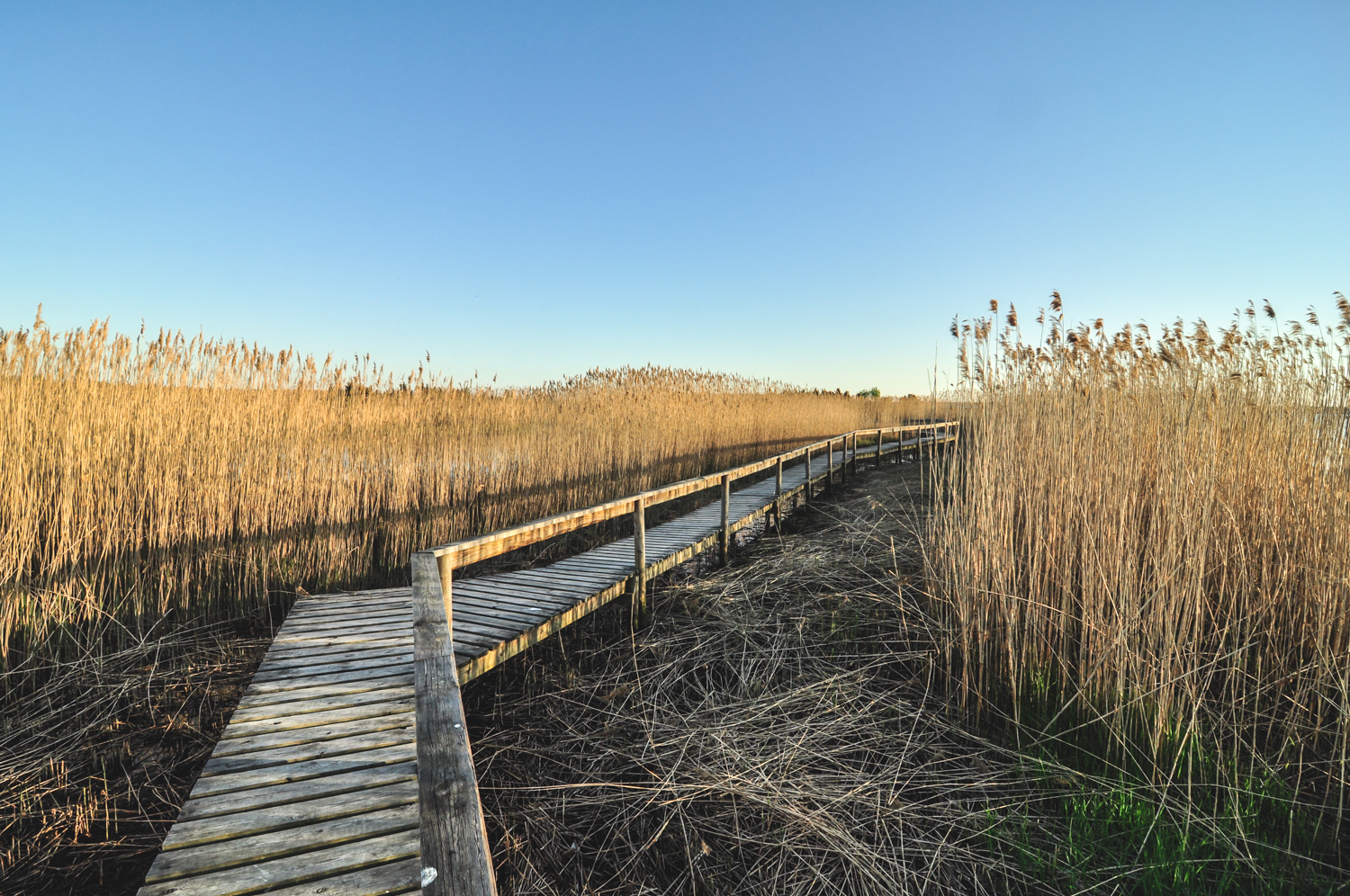 Cycling in Estonian islands, Saaremaa