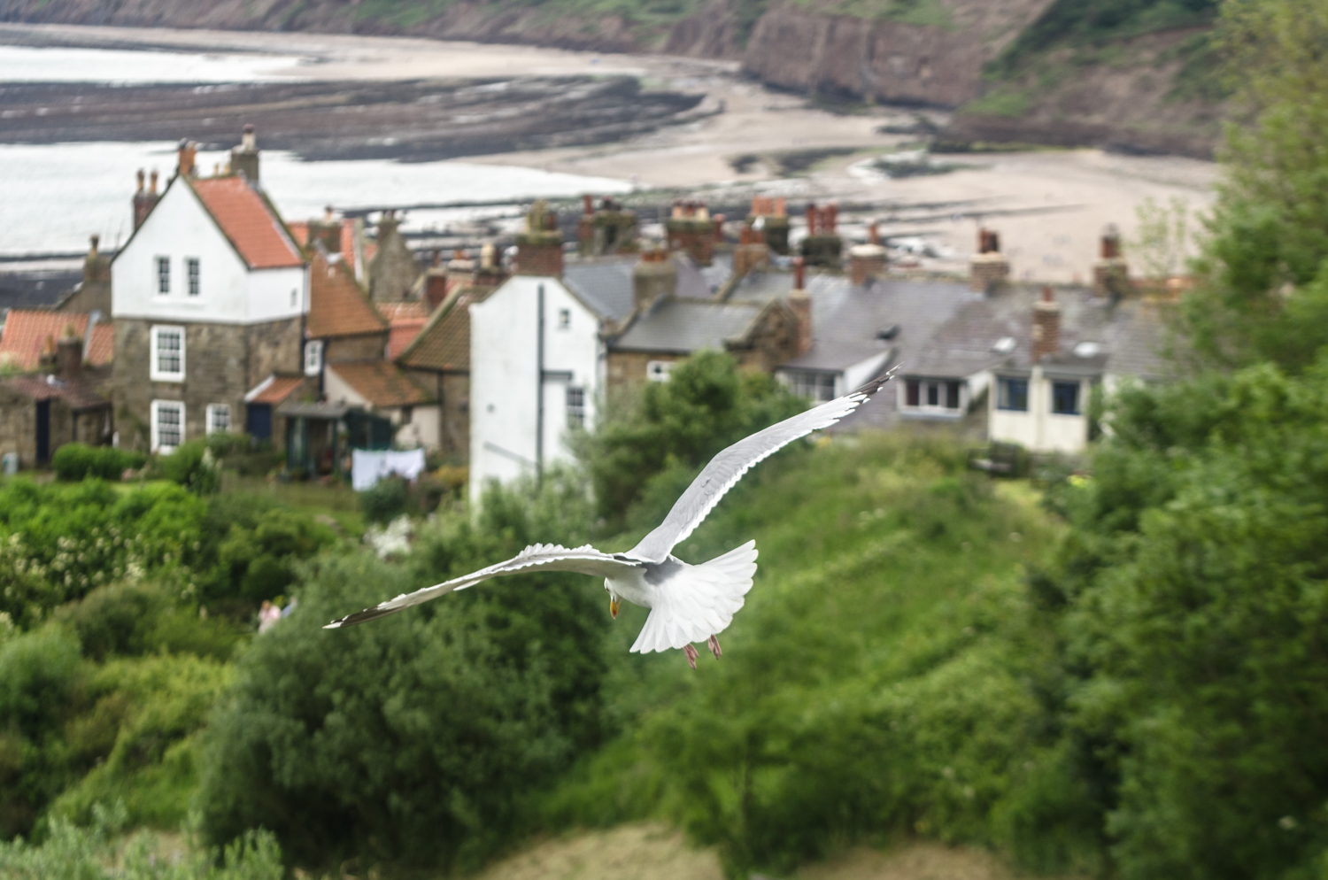Robin Hood's Bay & Sarborough