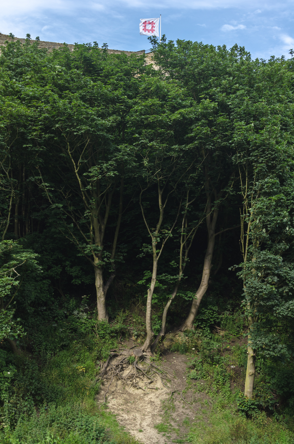 Robin Hood's Bay & Sarborough