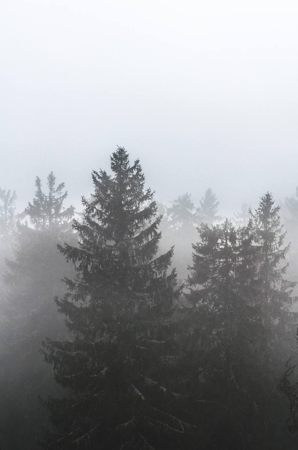 Suur Munamägi, Estonia