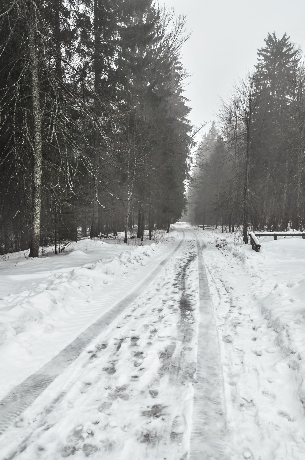 Suur Munamägi, Estonia