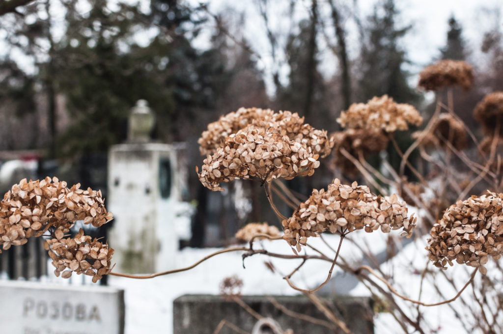 Moscow, Russia; visit Moscow, winter in Moscow, what to see in Moscow