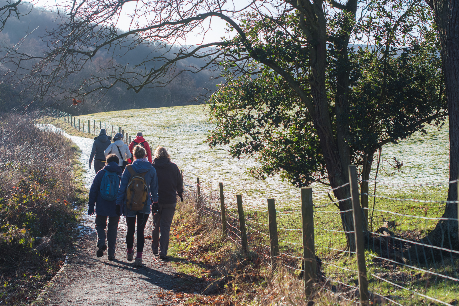 Grosmont - Goathland walking trail, England