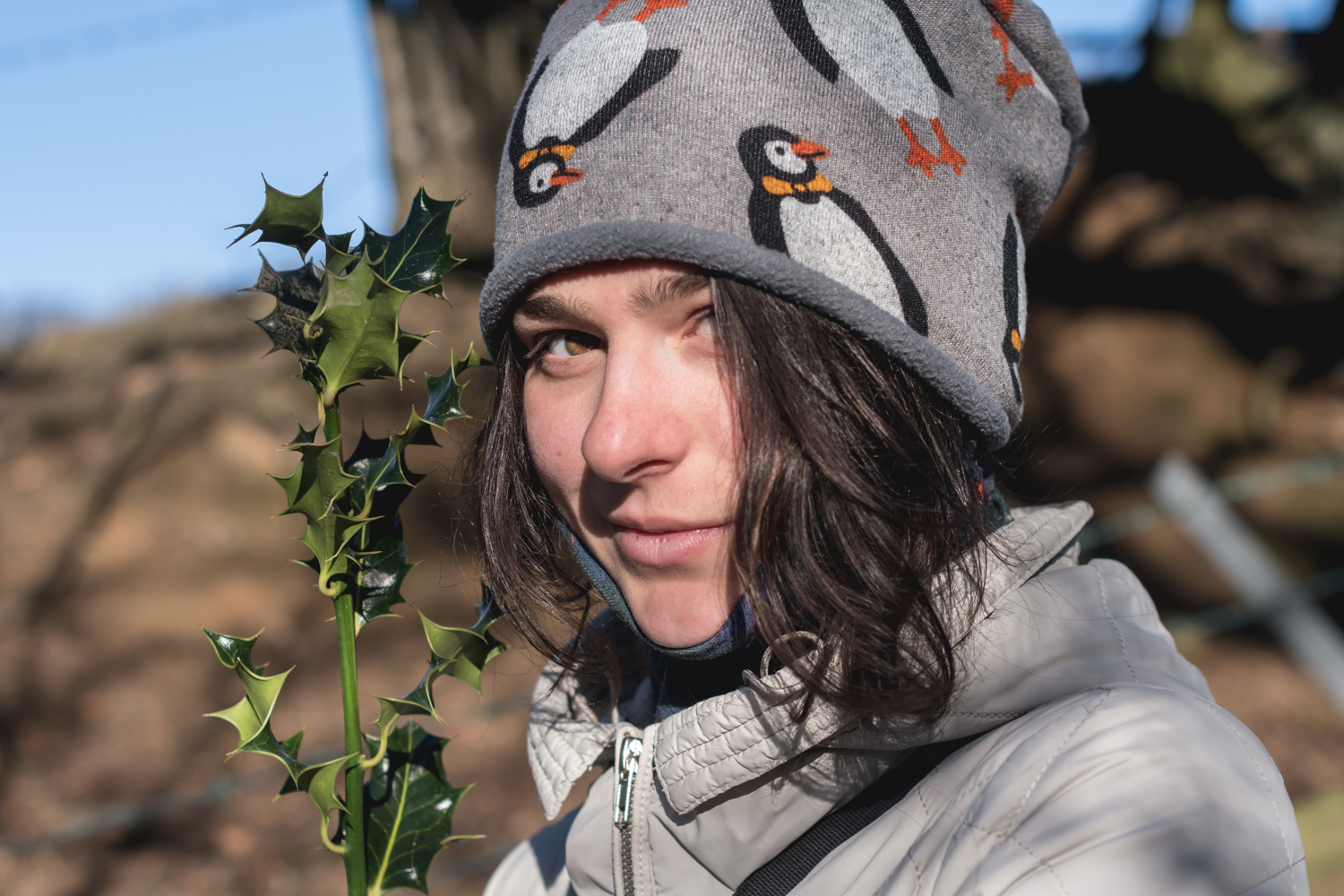 Grosmont - Goathland walking trail, England