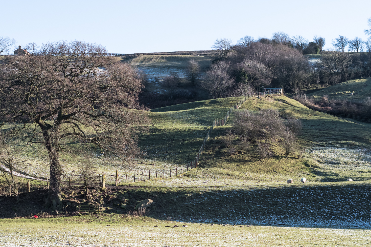Grosmont - Goathland walking trail, England