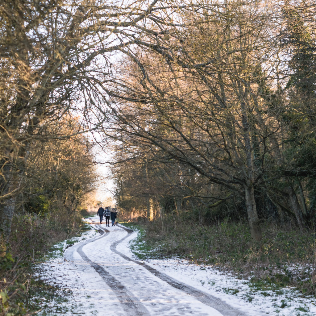 Grosmont - Goathland walking trail, England