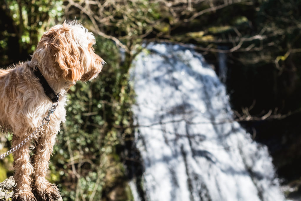 Yorkshire Dales, England
