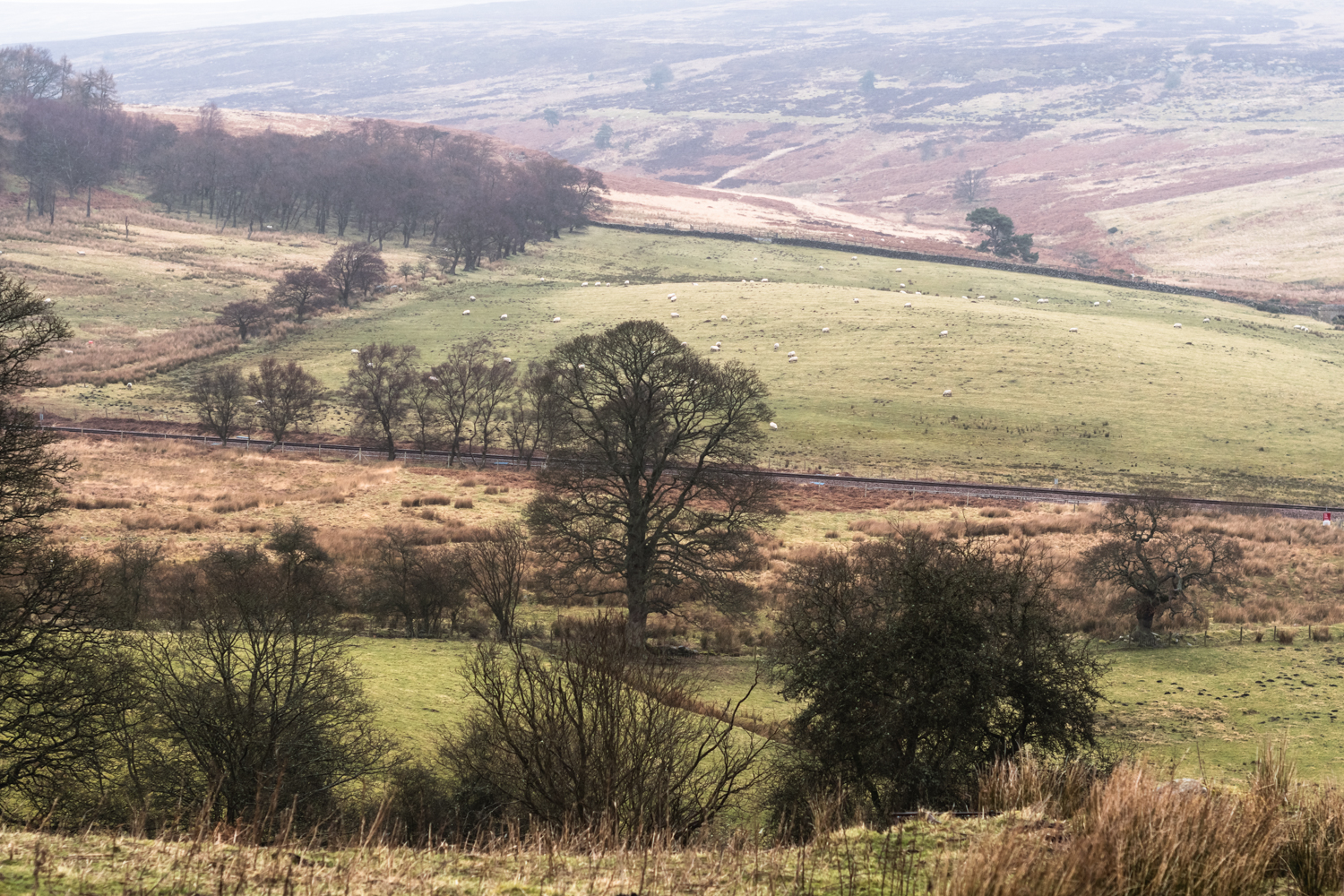 Cycling in Yorkshire Moors, England