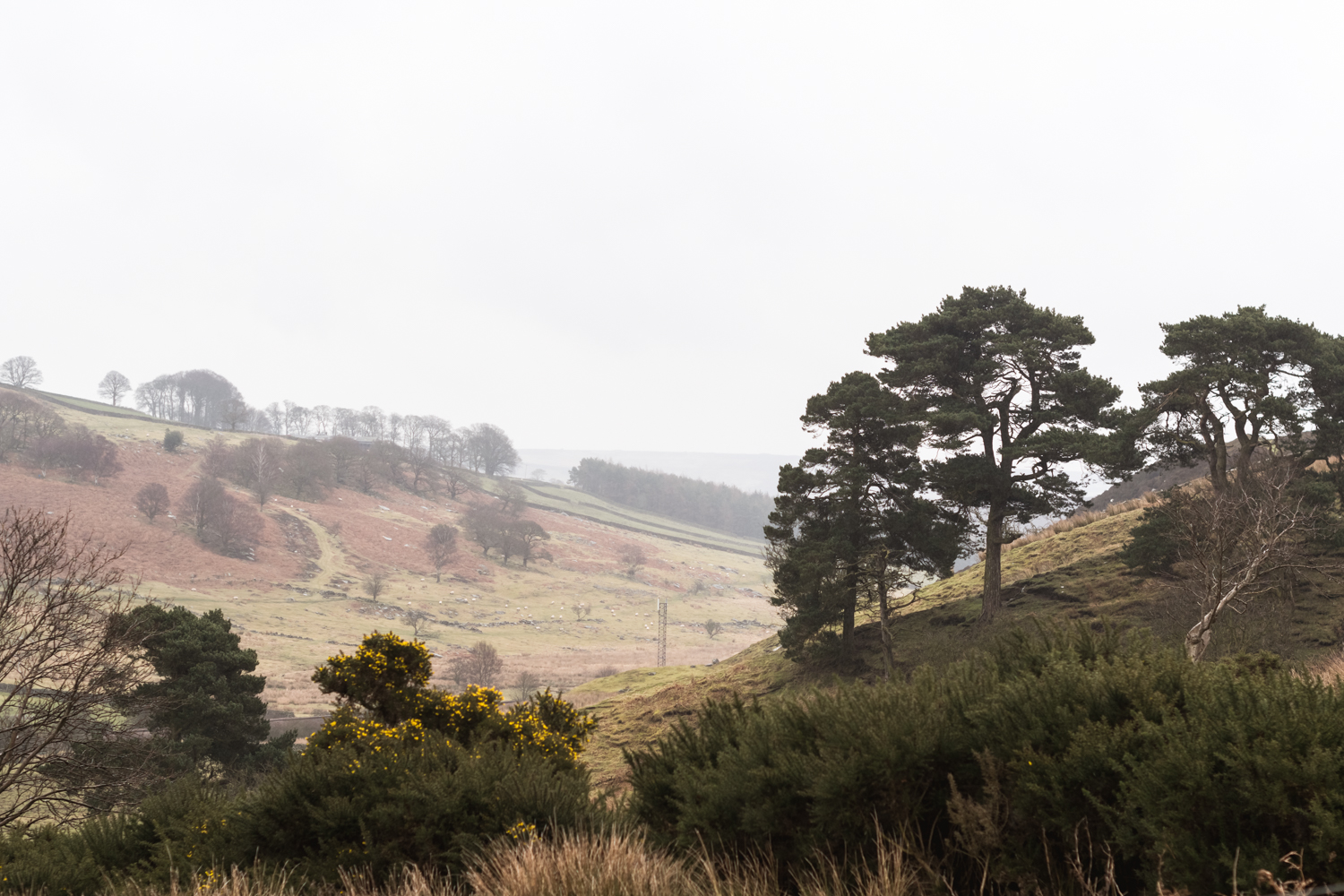 Cycling in Yorkshire Moors, England
