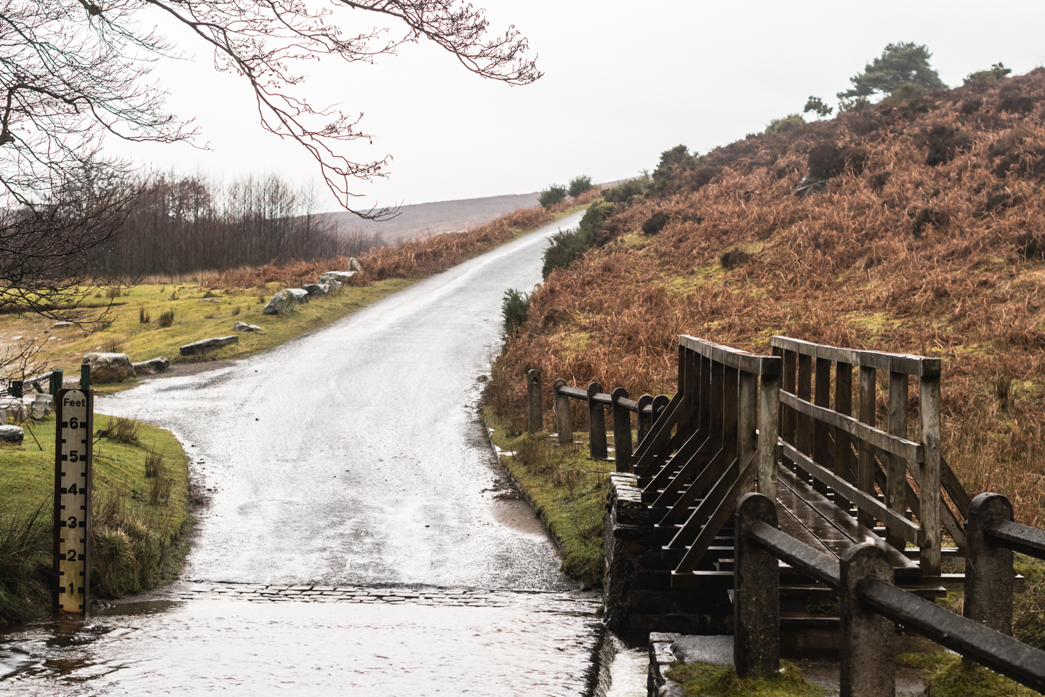 Cycling in Yorkshire Moors, England
