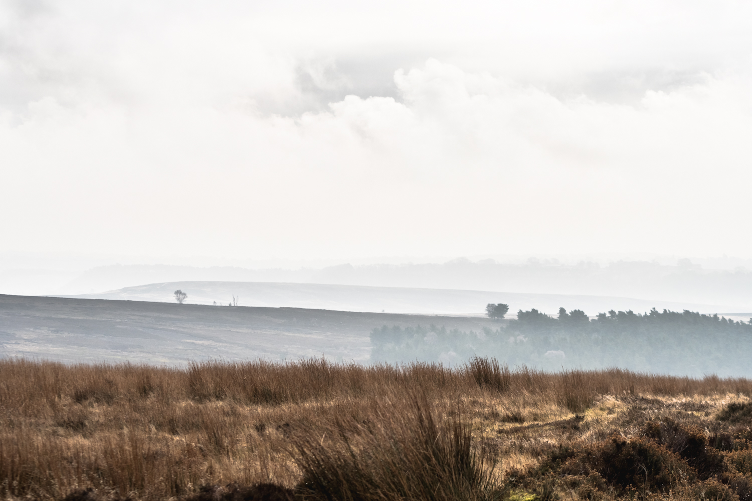 Cycling in Yorkshire Moors, England