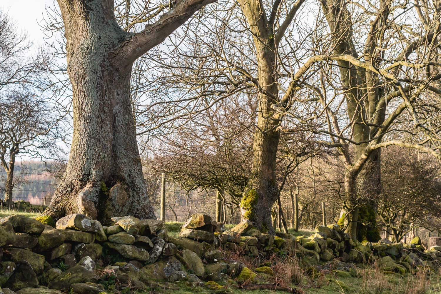 Cycling in Yorkshire Moors, England
