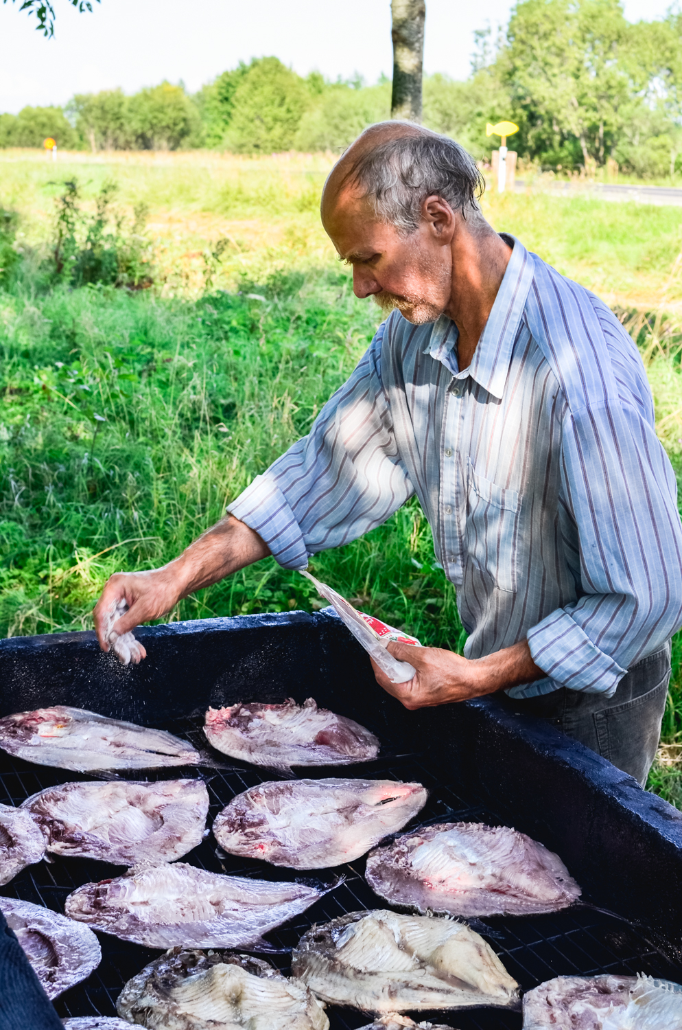 Tartu, lake Peipus, Estonia