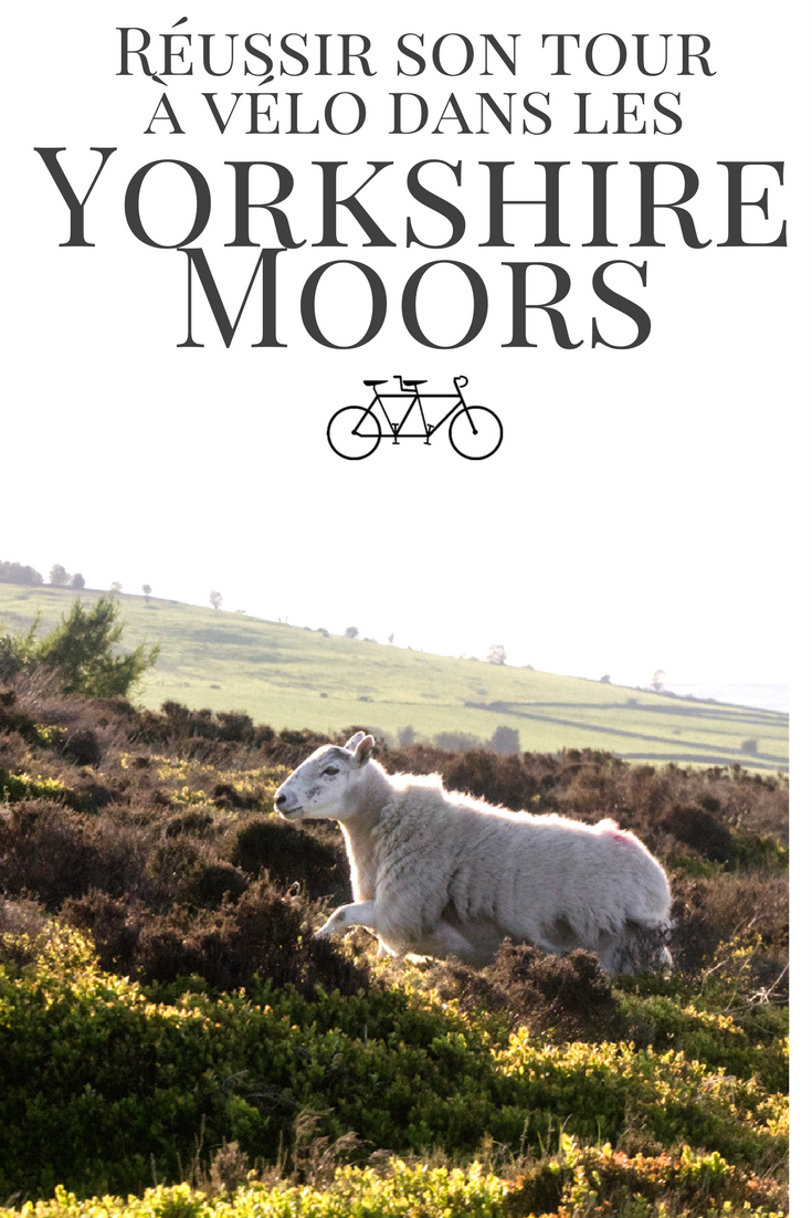 Réussir son tour à vélo dans les Yorkshire Moors