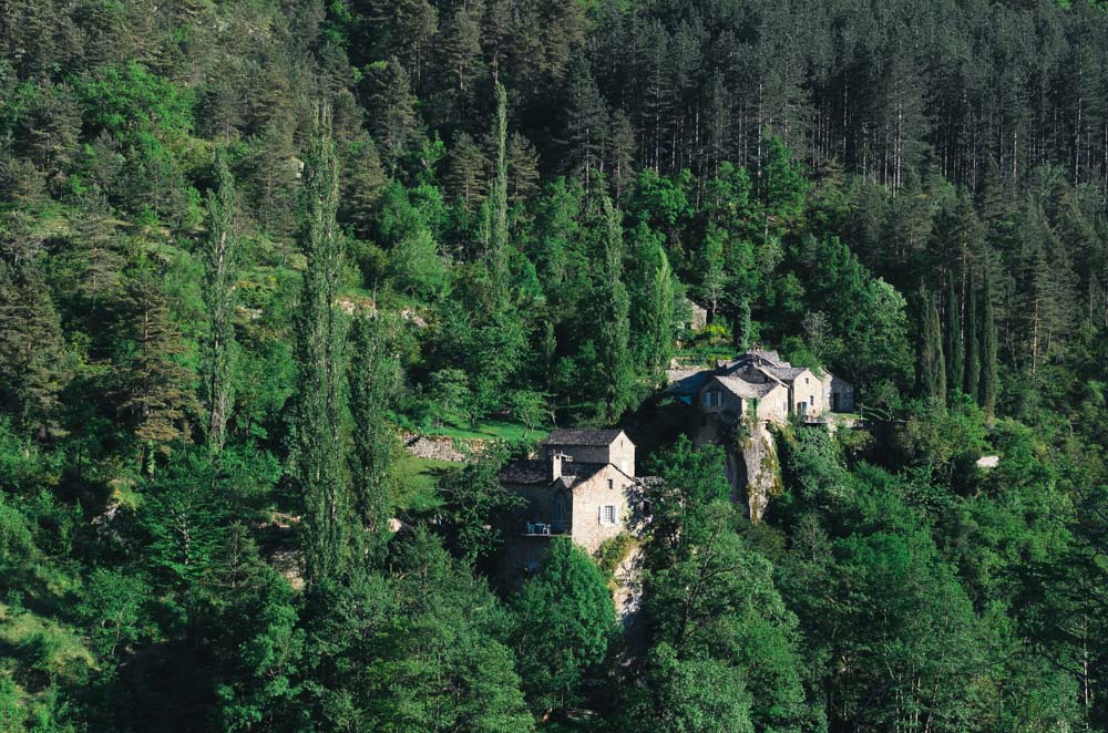 occitanie south west aveyron forest