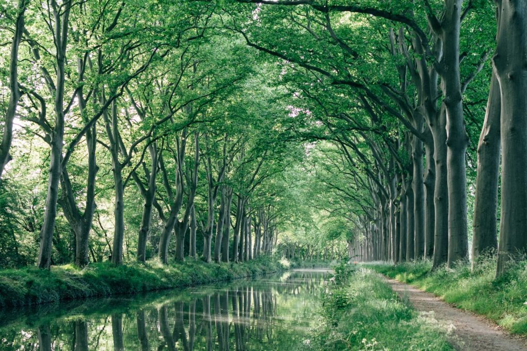 Canal du Midi, Toulouse, France
