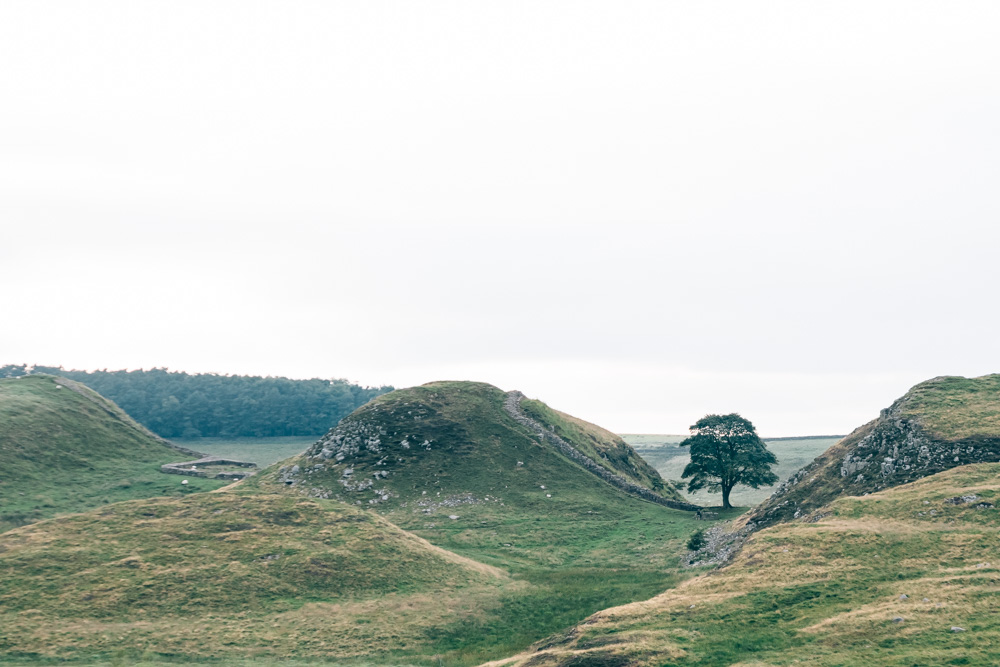 Hadrian's wall