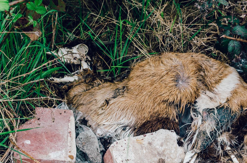 Middlesbrough, Teeside