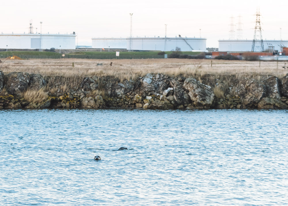 Middlesbrough, Teeside