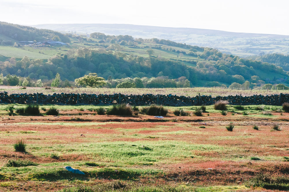 Quoi voir en Angleterre