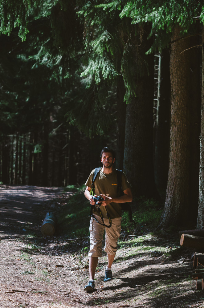 Black Forest, Schwarzwald, Forêt Noire