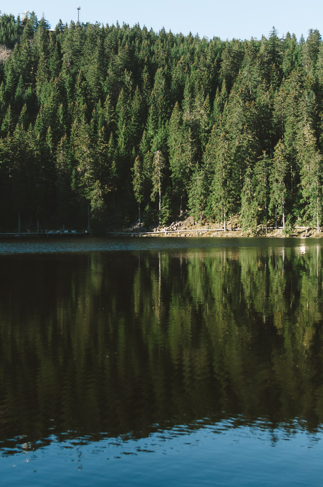 Black Forest, Schwarzwald, Forêt Noire