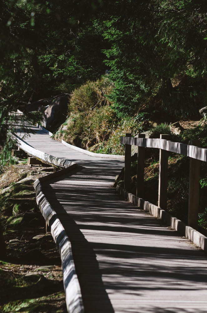 Black Forest, Schwarzwald, Forêt Noire