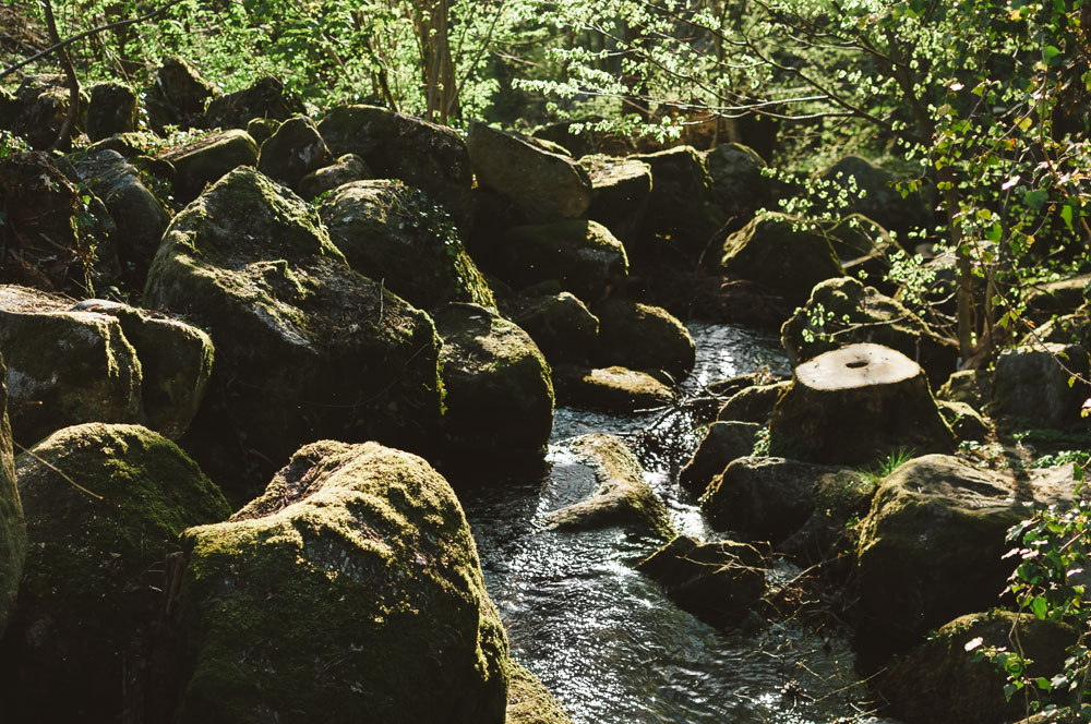 Black Forest, Schwarzwald, Forêt Noire