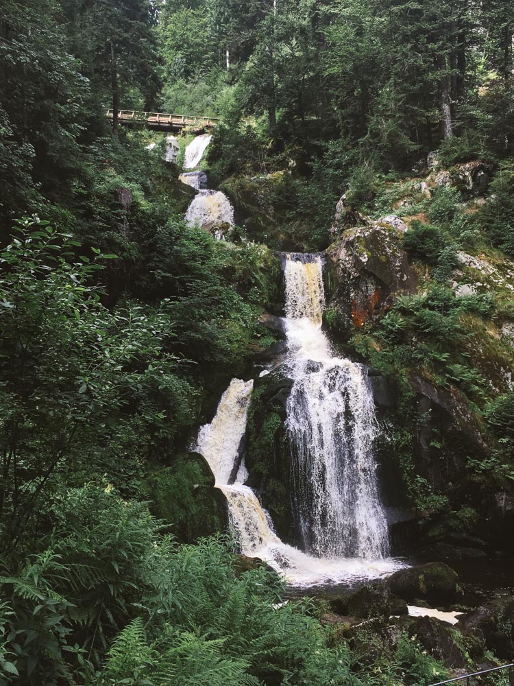 Black Forest, Schwarzwald, Forêt Noire