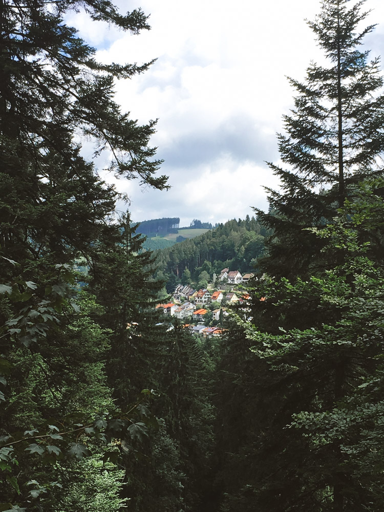 Black Forest, Schwarzwald, Forêt Noire