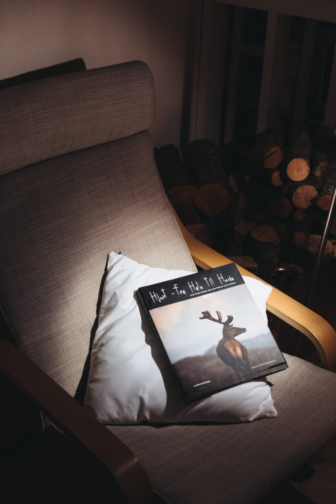 Hygge Norway Scandinavian