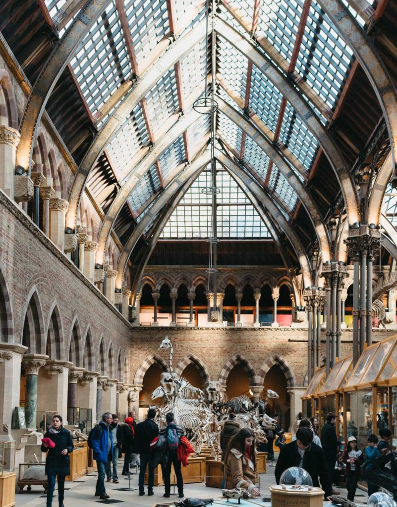 the Oxford University Museum of Natural History