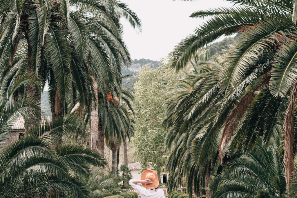 Jardines de Alfabia in Majorca