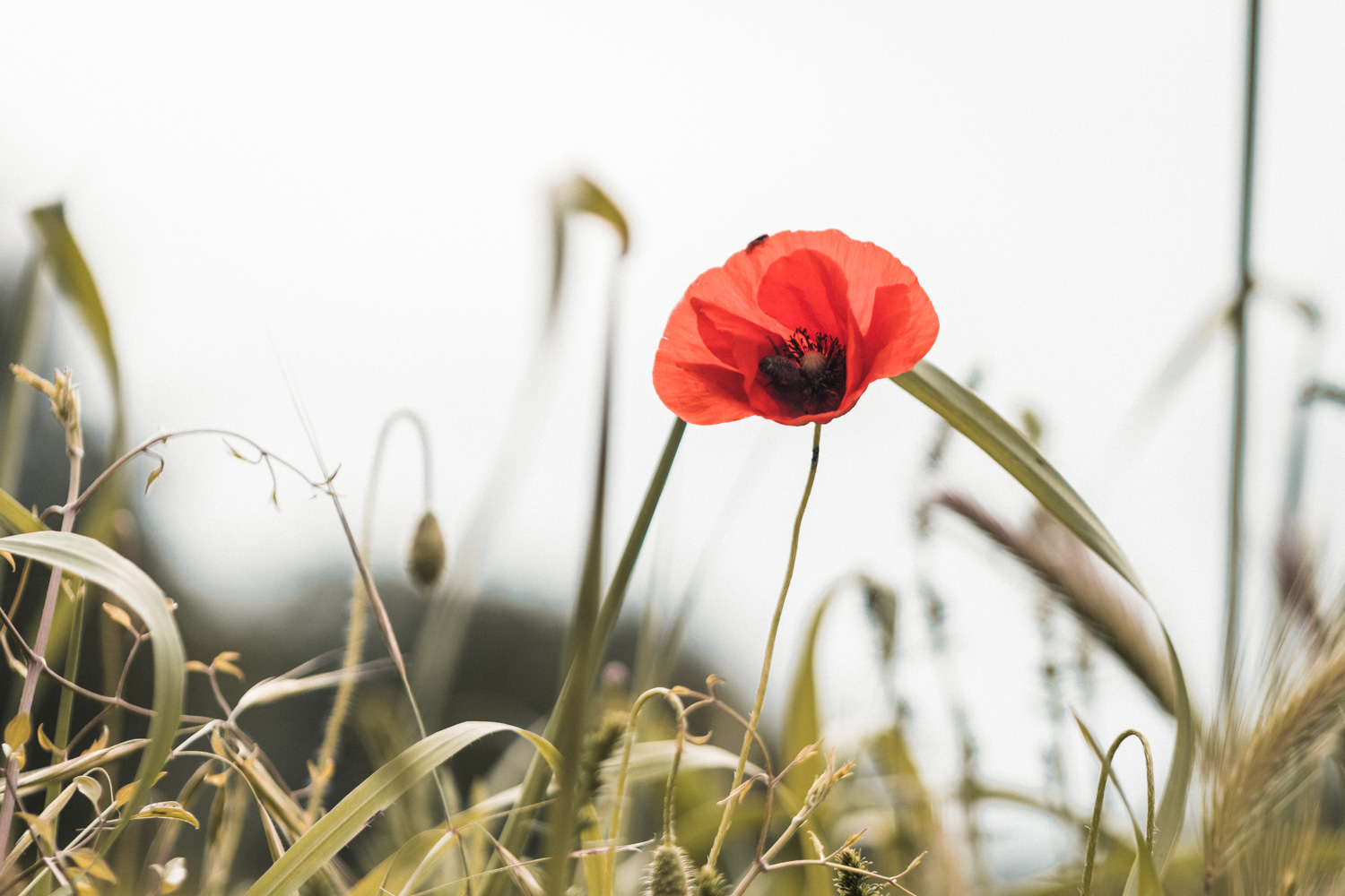 3 belles escapades depuis Marseille