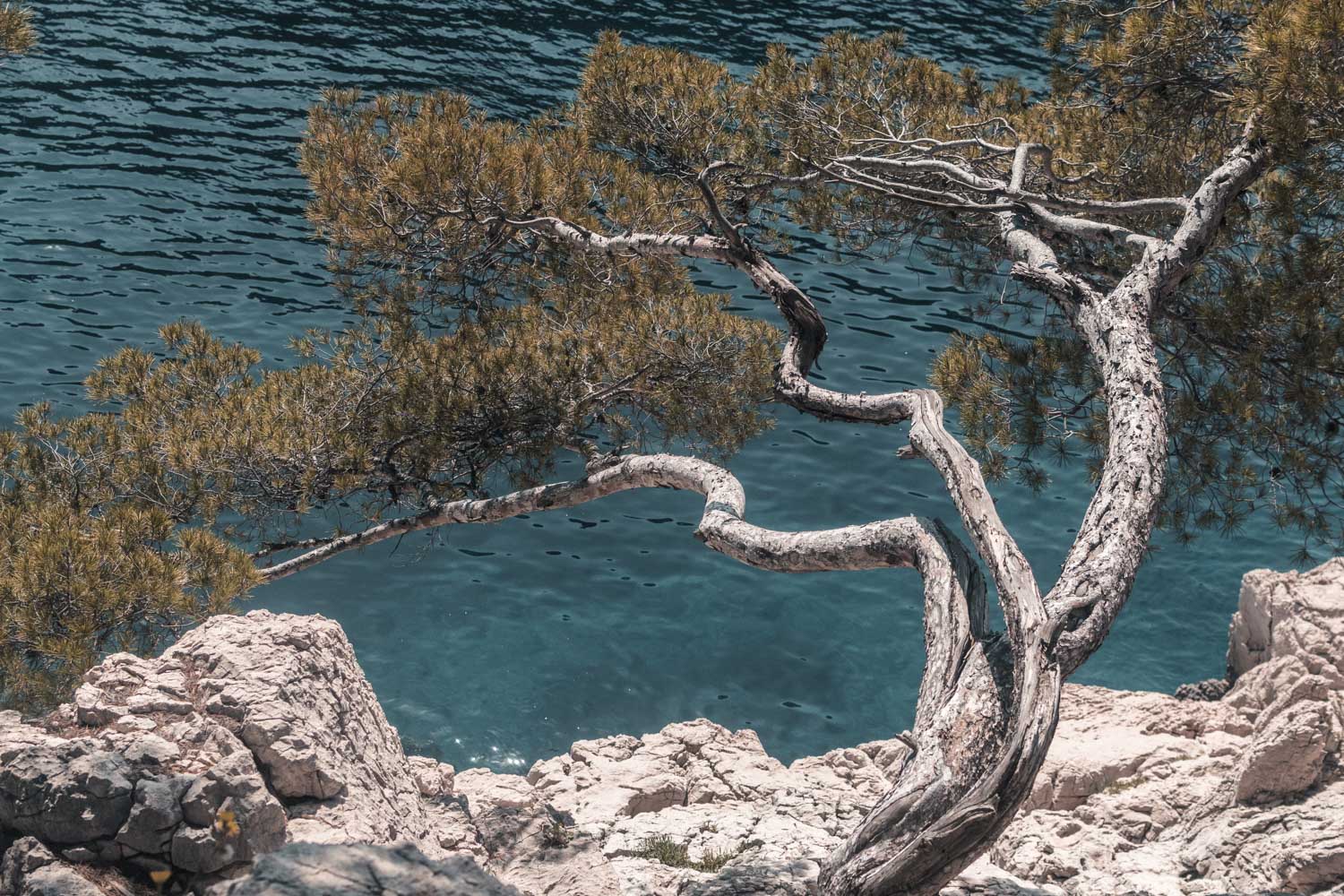 3 belles escapades depuis Marseille