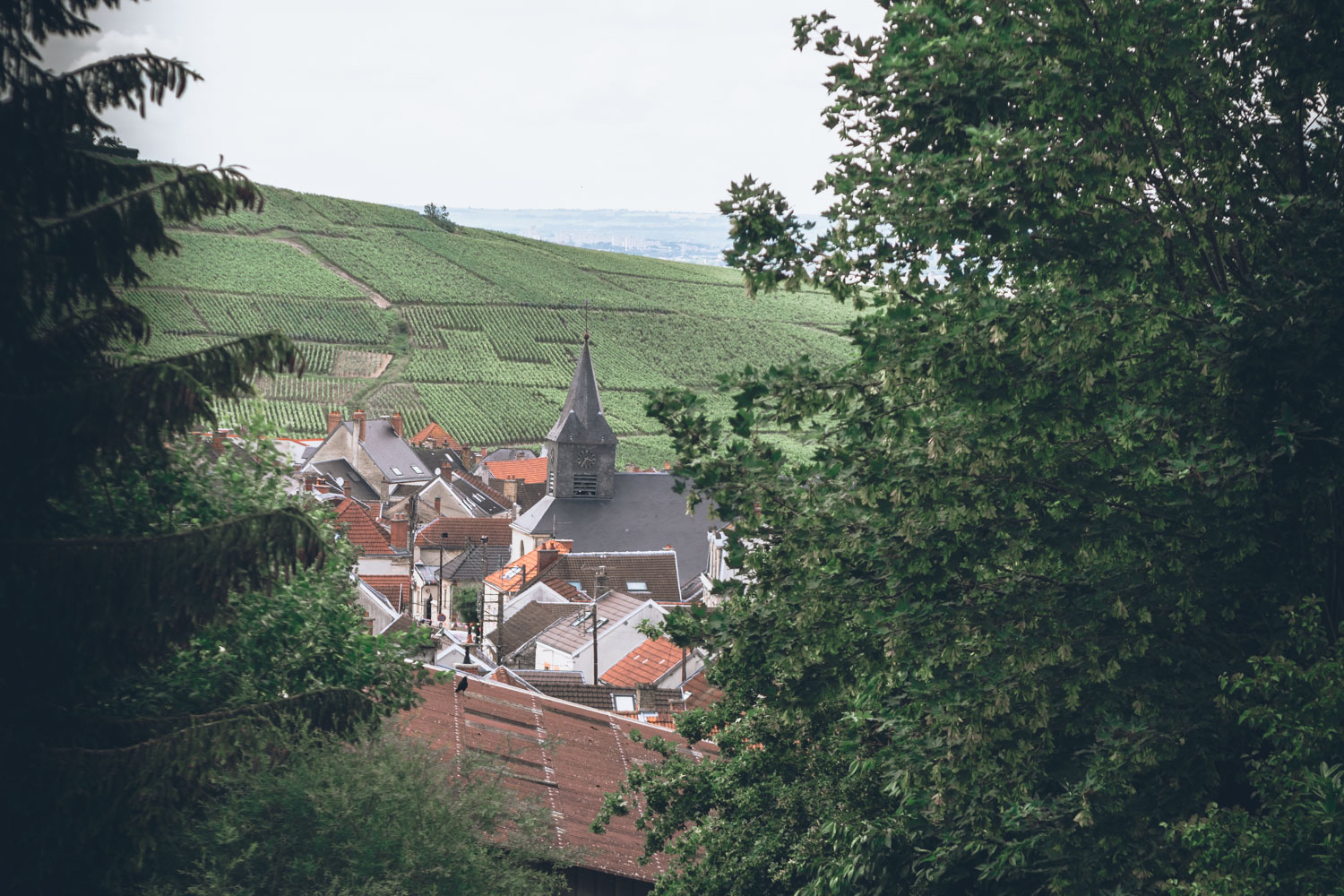 Week-end à Champagne