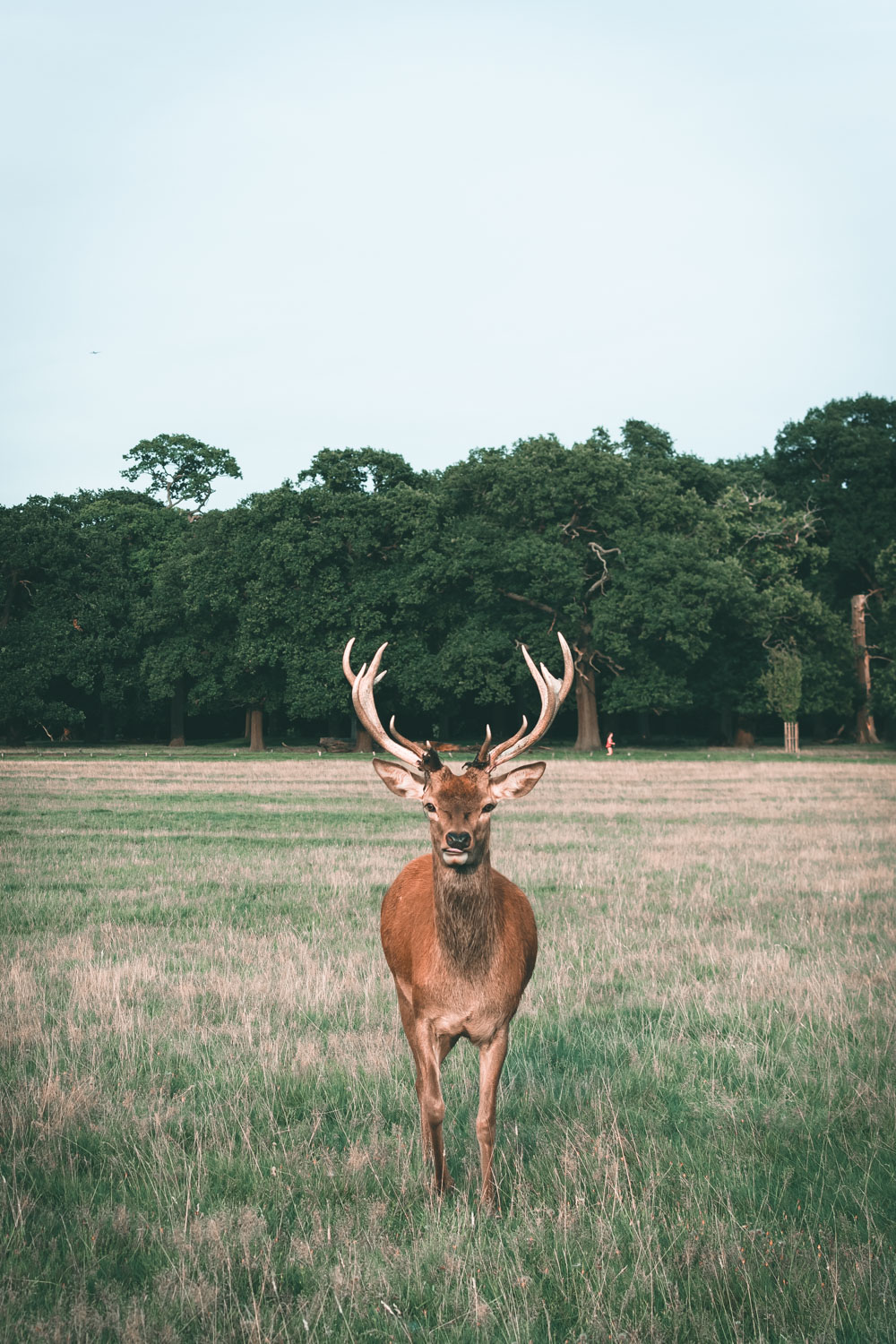 Alternative London: Unusual Things to See and to Do